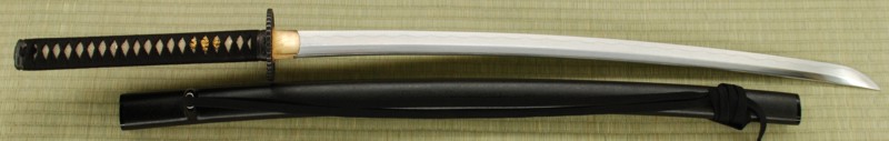 Practical Plus Elite