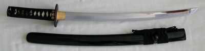 Wind and Thunder Wakizashi