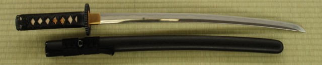 Practical Plus Wakizashi