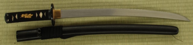 Raptor Wakizashi