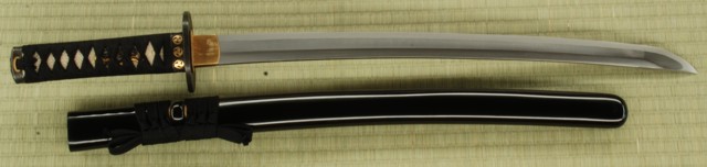 Wind and Thunder Wakizashi